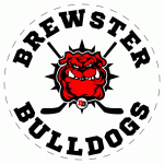 Brewster Bulldogs 2015-16 hockey logo