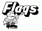 Port Huron Flags 1979-80 hockey logo