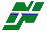 Dearborn Heights Nationals 1995-96 hockey logo
