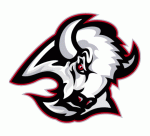Buffalo Sabres 1999-00 hockey logo