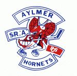 Aylmer Hornets 1987-88 hockey logo