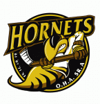 Cambridge Hornets 1999-00 hockey logo