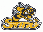 Sarnia Sting 2006-07 hockey logo