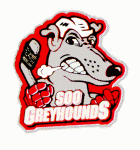 Soo Greyhounds 1997-98 hockey logo