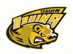 Seguin Bruins 2008-09 hockey logo