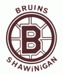 Shawinigan Bruins 1969-70 hockey logo