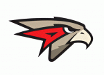 Omskie Yastreby 2020-21 hockey logo