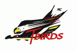 Winston-Salem T-birds 2003-04 hockey logo