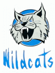 Richmond Wildcats 1976-77 hockey logo