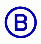 Estevan Bruins 1981-82 hockey logo