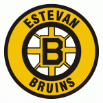 Estevan Bruins 2005-06 hockey logo