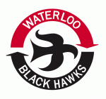 Waterloo Black Hawks 2017-18 hockey logo