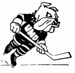 U. of Minnesota-Duluth 1987-88 hockey logo