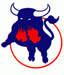Birmingham Bulls 1976-77 hockey logo