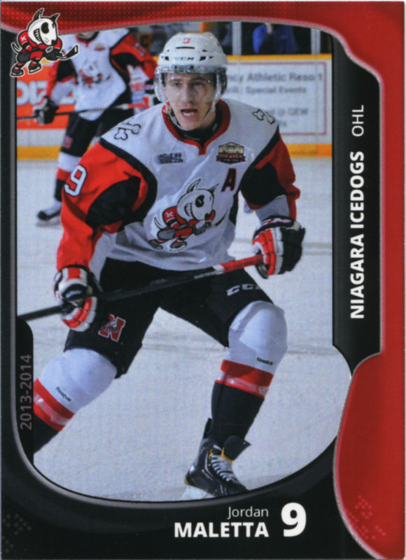 Niagara IceDogs 2013-14 hockey card image