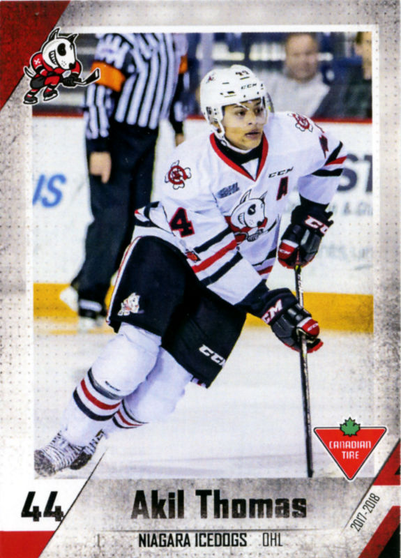 Niagara IceDogs 2017-18 hockey card image