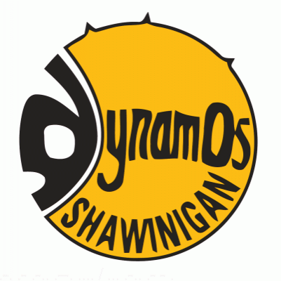 Shawinigan Dynamos 1973-74 hockey logo of the QMJHL