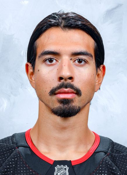 Jonas Siegenthaler Hockey Stats and Profile at