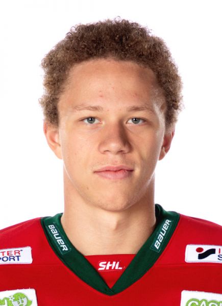 Lucas Raymond: Get To Know, Swedish Rookie Sensation 🇸🇪 Lucas Raymond,  get to know the name, By NHL