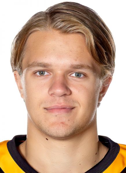 Mans Forsfjall hockey player photo