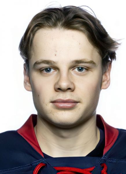 Mattias Havelid hockey player photo