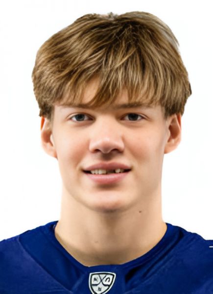 Nikita Grebenkin hockey player photo