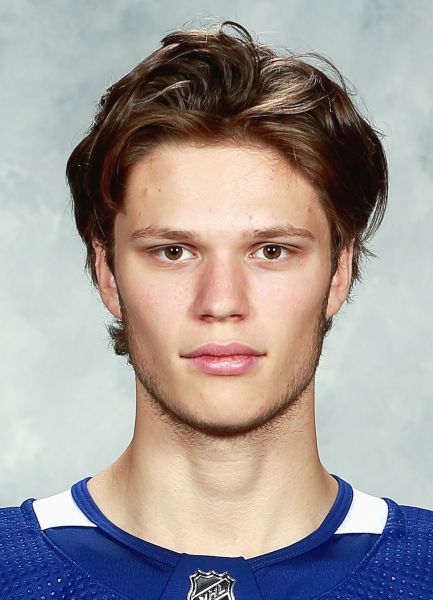 Viktor Persson hockey player photo