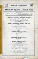 1933-34 Bronx Tigers game program