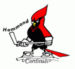 Hammond Cardinals 1977-78 hockey logo