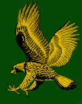 Salt Lake Golden Eagles 1990-91 hockey logo