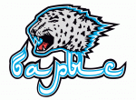 Nur-Sultan Barys 2010-11 hockey logo