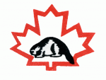 Niagara Falls Canucks 1974-75 hockey logo