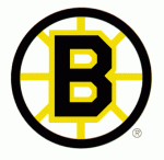 Boston Bruins 1993-94 hockey logo