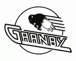 Granby Bisons 1994-95 hockey logo