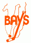 Traverse City Bays 1976-77 hockey logo